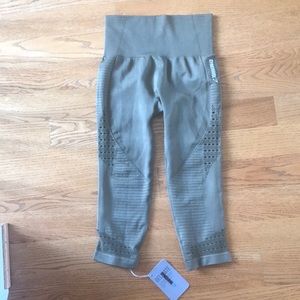 Gym Shark Legging